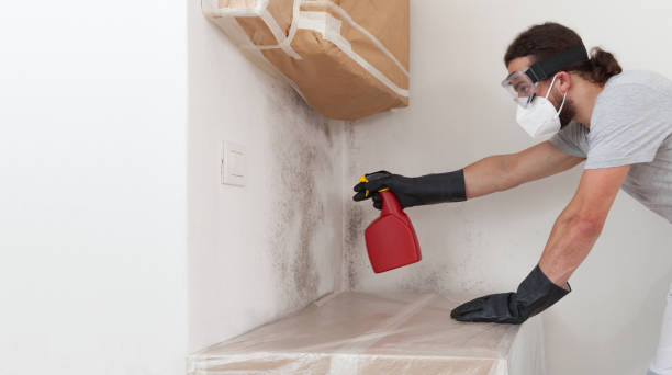 Professional Bathroom Mold Removal technician working in Mendota, IL