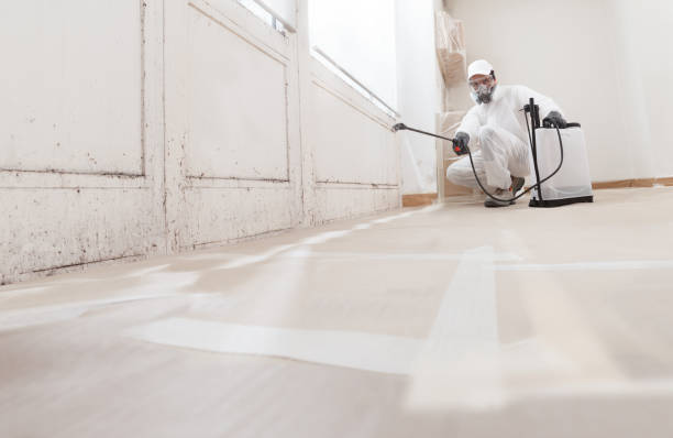 24/7 Emergency Bathroom Mold Removal experts in Mendota, IL